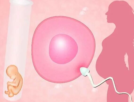 泰国CEF第三代试管婴儿囊胚移植为何成功率高?（附成功率及费用详情）