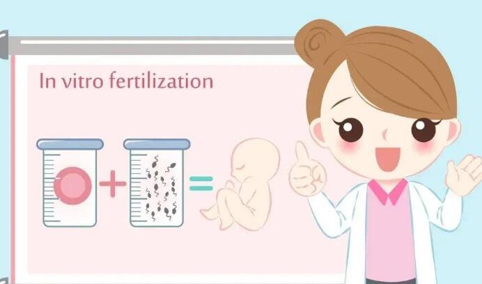 一般三代试管婴儿需要多少个胚胎?（最新助孕成功率参考）